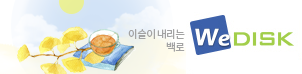 위디스크
